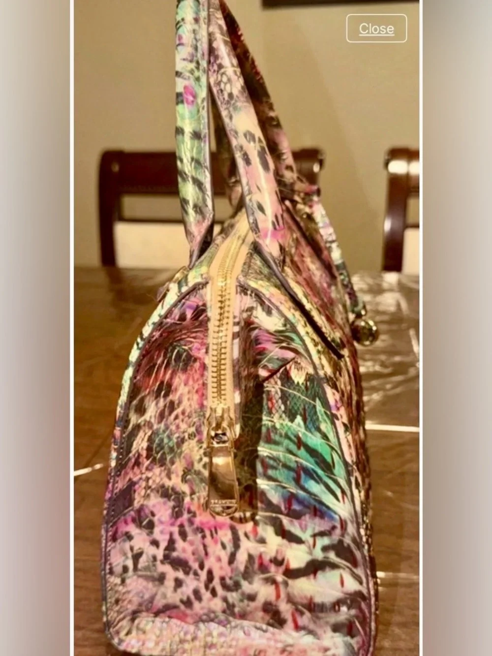 Brahmin like new